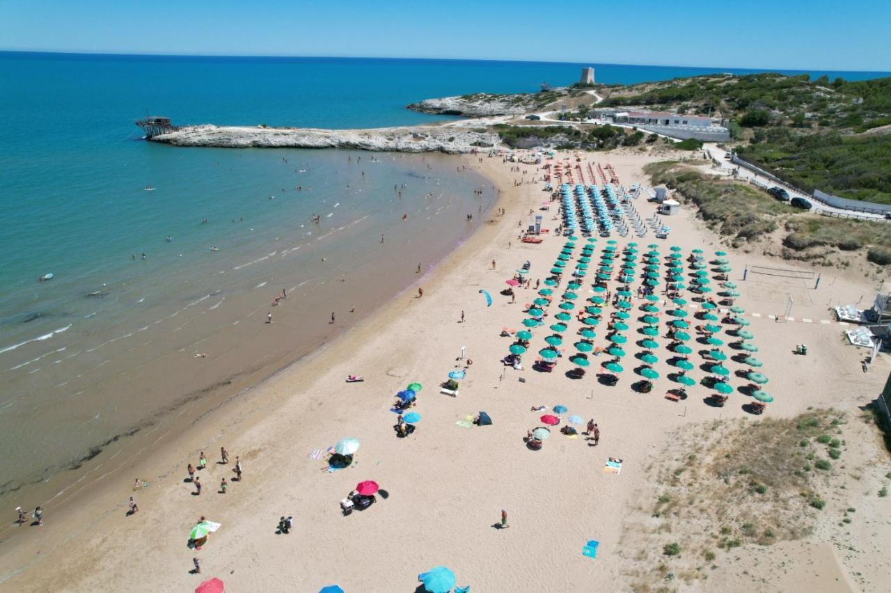 Villaggio Turistico Scialmarino Vieste Eksteriør billede